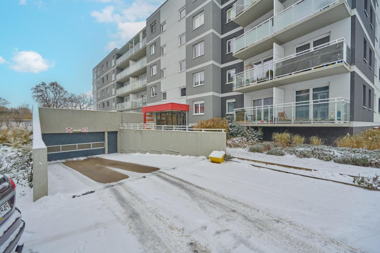 Rose By Renters * Breslau