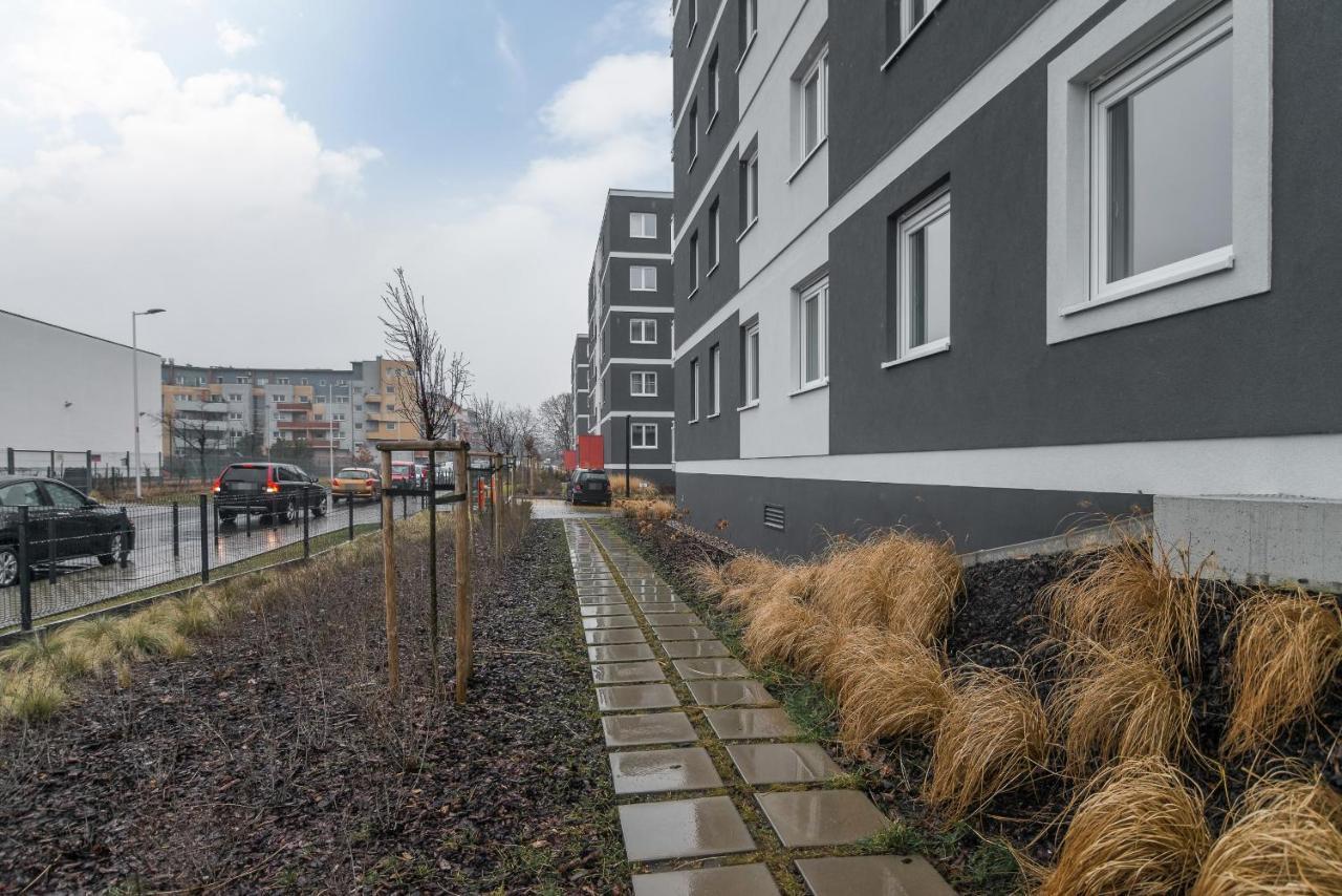 Rose By Renters Apartment *